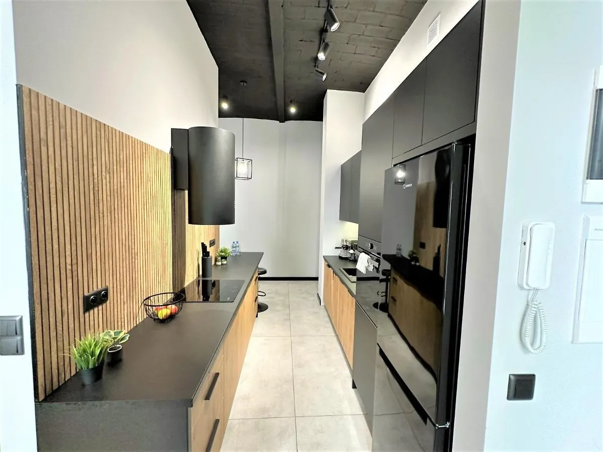 Luxury 100M2 Loft Design-Apartment At Wawel + Netflix Krakow 0*,  Poland