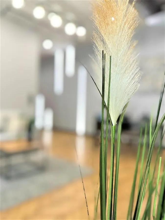 Luxury 100M2 Loft Design-Apartment At Wawel + Netflix Krakow