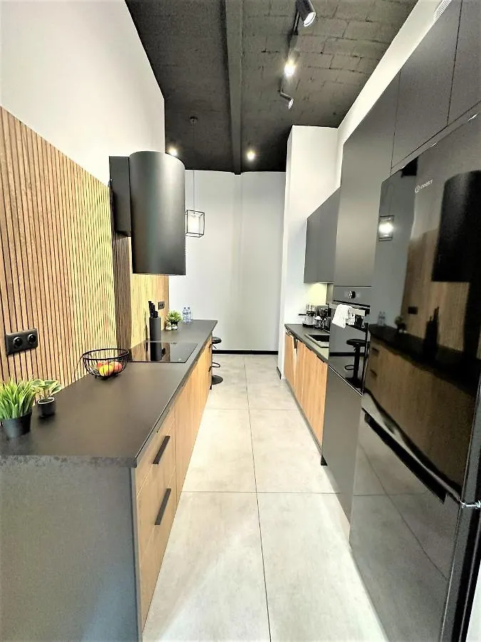 Apartment Luxury 100M2 Loft Design-Apartment At Wawel + Netflix Krakow
